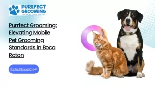 Purrfect Grooming: Elevating Mobile Pet Grooming Standards in Boca Raton