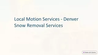 Local Motion Services Denver Snow Removal Services