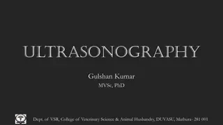 Overview of Ultrasonography in Veterinary Medicine