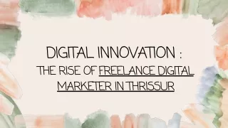 Thrissur Amplified: The Impact of Freelance Digital Marketer in thrissur