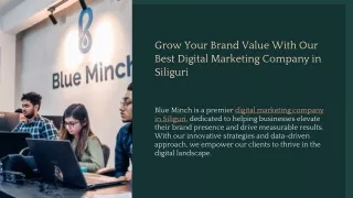 Boost Your Business with Blue Minch – Digital Marketing Company in Siliguri