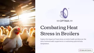 Combating Heat Stress in Broilers (PPT)