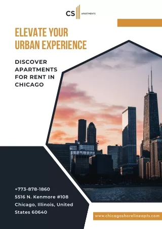 Elevate Your Urban Experience Discover Apartments for Rent in Chicago