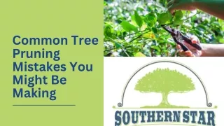 Common Tree Pruning Mistakes You Might Be Making