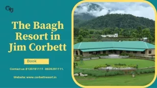 The Baagh Resort in Jim Corbett (1)