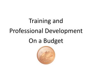 Training and Professional Development On a Budget