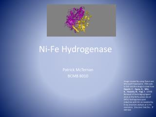 Ni-Fe Hydrogenase