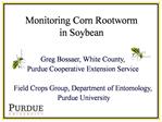 Monitoring Corn Rootworm in Soybean