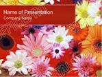 Flowers PowerPoint Template Backgrounds