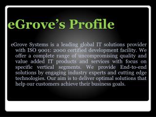 egrove systems company profile