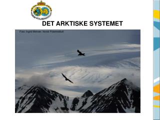 DET ARKTISKE SYSTEMET