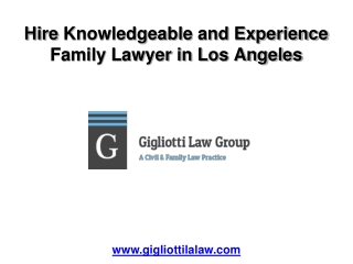 Hire Knowledgeable and Experience Family Lawyer in Los Angel