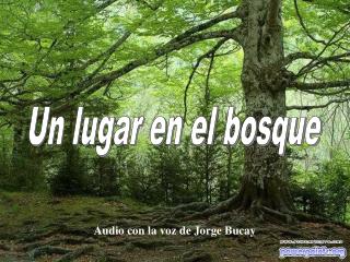 Audio con la voz de Jorge Bucay