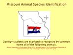 Missouri Animal Species Identification