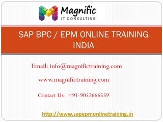 sap bpc online training india | magnific training