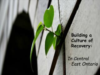 Building a Culture of Recovery: In Central East Ontario