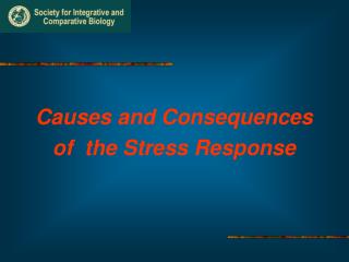 Causes and Consequences of the Stress Response
