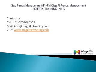 Sap Funds Management (FI-FM)experts training in uk