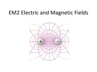 EM2 Electric and Magnetic Fields