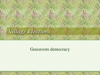 Village Elections
