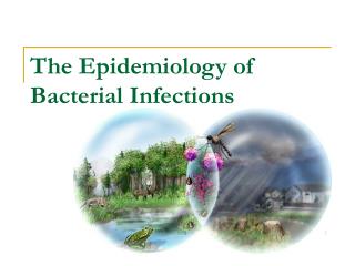 The Epidemiology of Bacterial Infections