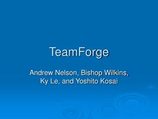 TeamForge