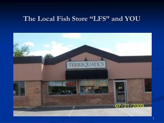 The Local Fish Store “LFS” and YOU