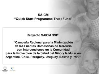 SAICM “Quick Start Programme Trust Fund”