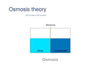 Osmosis theory