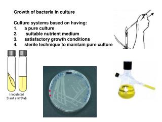 Growth of bacteria in culture Culture systems based on having: a pure culture suitable nutrient medium satisfactory gro