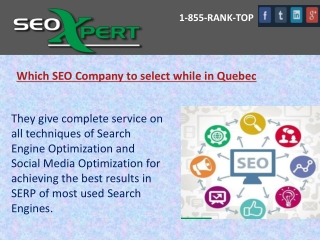 Which SEO Company to select while in Quebec