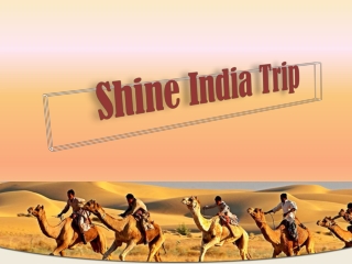 Trip to Royal City with attractive Rajasthan Tour Packages