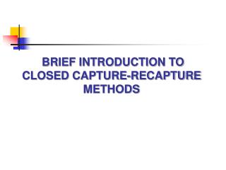 PPT - Capture Recapture Analysis - PowerPoint Presentation - ID:1090503