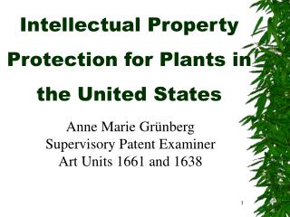 Intellectual Property Protection for Plants in the United States