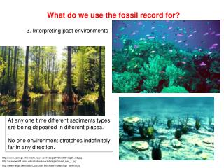 What do we use the fossil record for?
