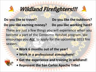 Wildland Firefighters!!!