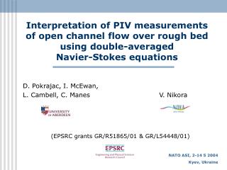 Interpretation of PIV measurements of open channel flow over rough bed using double-averaged Navier-Stokes equations