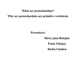 What are protochordata? Why are protochordata are primitive vertebrate Presenters; 					Shree jana Bomjan 					Pema Tsho