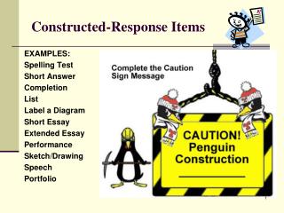 Constructed-Response Items