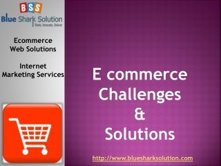 E-commerce: Challenges and Solutions