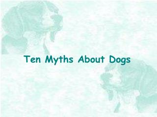 Ten Myths About Dogs