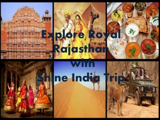 Rajasthan Trip