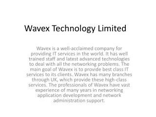 Wavex is a well-acclaimed company for providing IT services