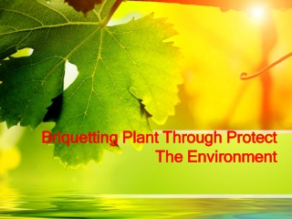 Briquetting Plant Through Protect The Environment