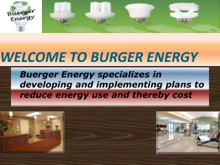 Burger Energy