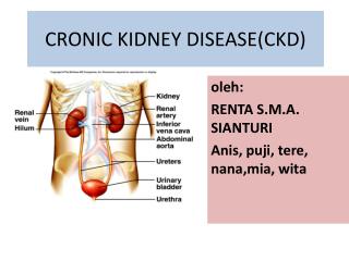 CRONIC KIDNEY DISEASE(CKD)