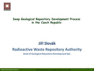 Deep Geological Repository Development Process in the Czech Republic