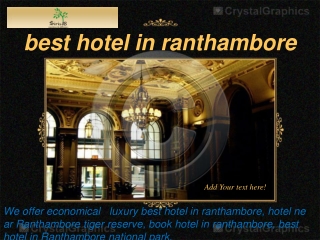 best hotel in ranthambore