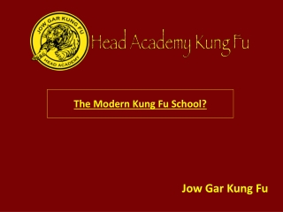 The Modern Kung Fu School?