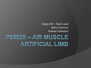 P09029 – Air Muscle Artificial Limb
